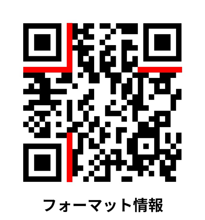 フォーマット情報（形式情報）